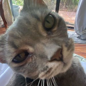 Meet your Posher, Neya